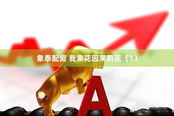 象泰配资 我家花园茉莉花（1）